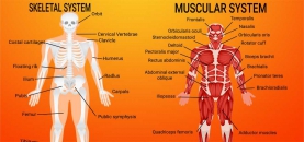 HEEL PAIN