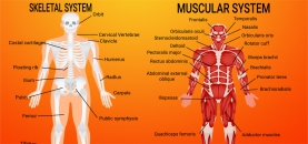 PIRIFORMIS SYNDROME